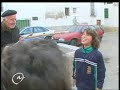 Botarga Villar del Arzobispo