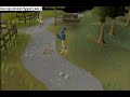 Runescape Cat Chat