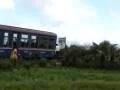 The-Toy-Train