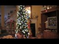 I uploaded a YouTube video -- Christmas Tree 2009.mpg http://www.youtube.com/watch?v=huspr0OPsBY&feature=autoshare_twitter