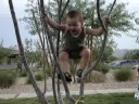 Tree Climber