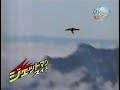 jetman News (Japan)???????