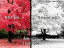 DJ Bounce - Why do I Love you ?