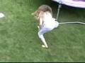 videos de Westie playing