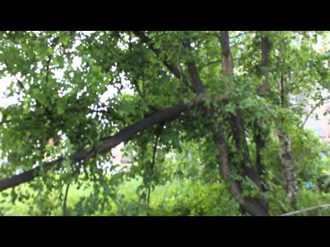 YouTube &ETH;&cent;&Ntilde;&ETH;&micro;&ETH;&sup1;&ETH;&raquo;&ETH;&micro;&Ntilde;