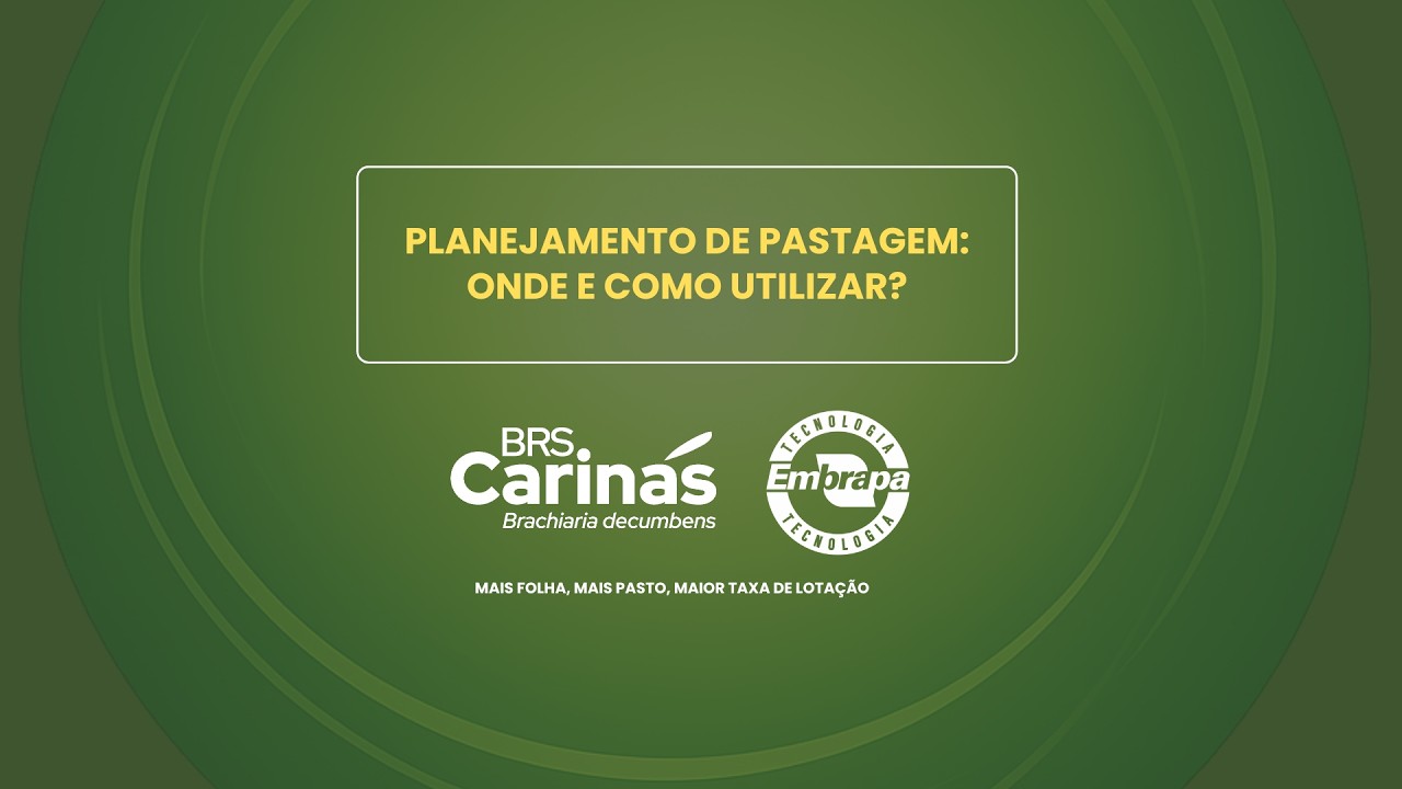 BRS Carinás | Planejamento de Pastagem: onde e como utilizar?