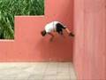 videos de Koukin TC WindRunners