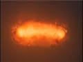 insane nuclear explosions compilation
