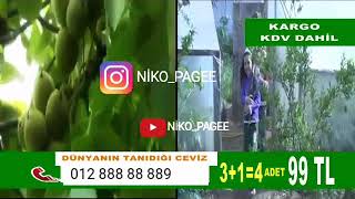 Mirt Prikol Gulmeli Video Qoz na Alma (kanala abune olun)