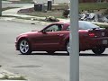 SLP Loudmouth Neighbor SLP Loudmouth Neighbor