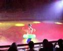 Craig Heath Ice Crew Comedy