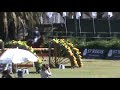 HYO KANO Hipico Arg.divx