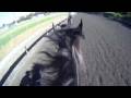 Zenyatta working