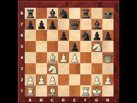 chess knight chess knight