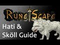 RuneScape Complete Hati & Sköll Guide/Review