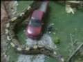 ataque de python gigante en reynosa