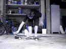 How To Ollie