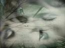 POEMA : EL AMANTE  (DAVID WEBER)