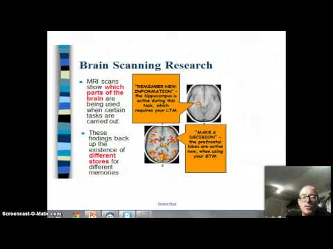 psychology py4 Start studying psychology studies py4 learn vocabulary, terms, and more with flashcards, games, and other study tools. psychology py4 Start studying psychology studies py4 learn vocabulary, terms, and more with flashcards, games, and other study tools.