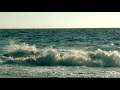 Al ritmo de las olas - Falos y volvas (Playa Cometa Mazunte