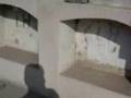 videos de Cementerio en Yangas