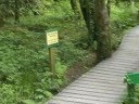 GreenWood Forest Park 2008 - Snowdonia