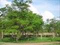 Lot for sale in Playa Negra, Costa Rica