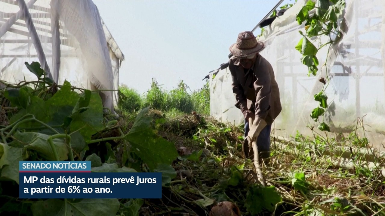 Entenda a MP da Renegociação das Dívidas Rurais