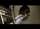 Little Dragon - Test Little Dragon - Test