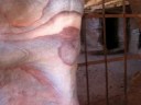 Jordania 2008, Petra