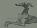 3/6- JoeBluhm paints an Animal 3/6- JoeBluhm paints an Animal