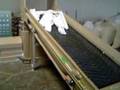 Polystyrene recycling, Styrofoam recycling