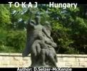 Tokaj Hungary Travel SelMcKenzie Selzer-McKenzie