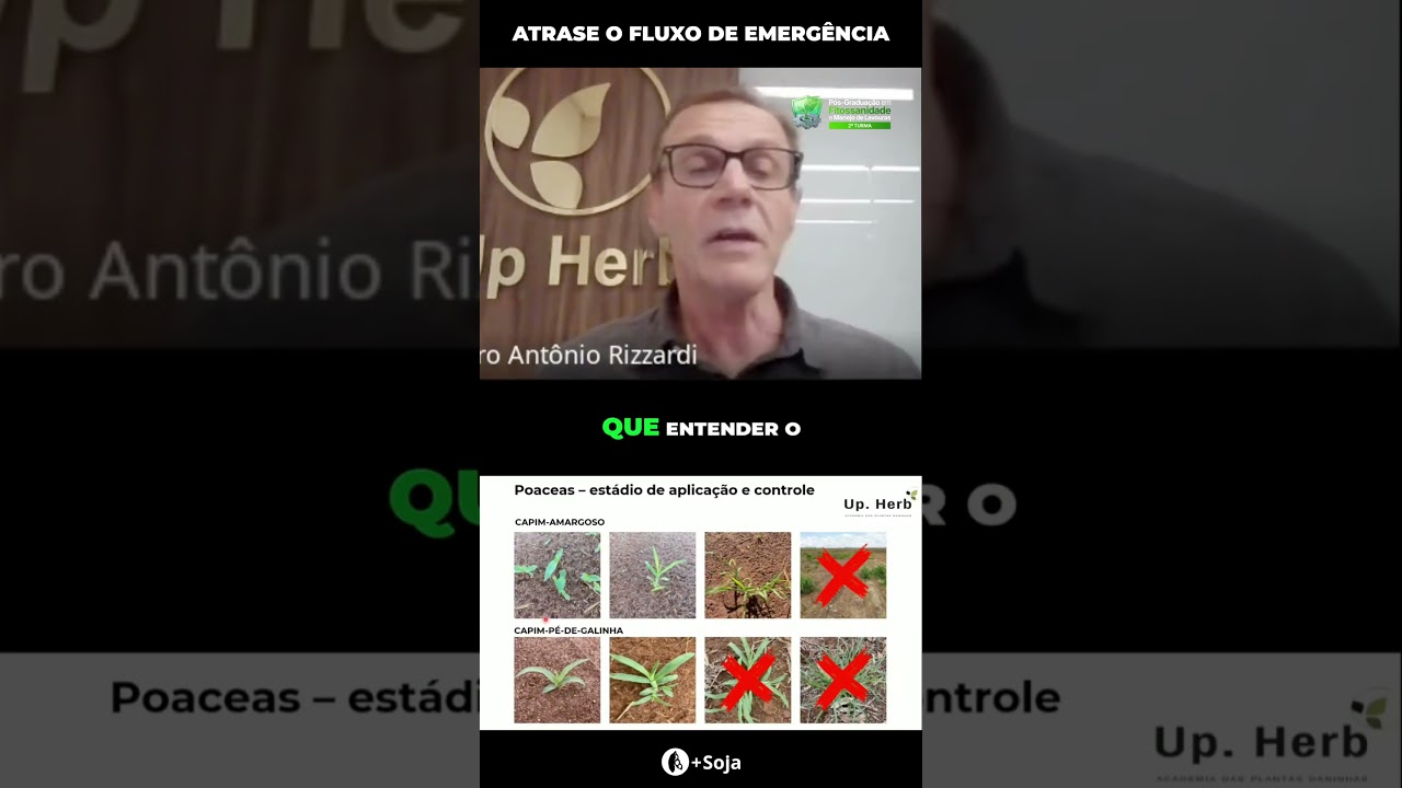 Pré-emergente e o atraso de fluxo de plantas daninhas