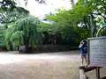 past the entrance to the area of zojo-ji temple