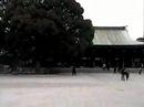 Nikko Toshogu Shrine & Monkies Narita Airport Tokyo Japan