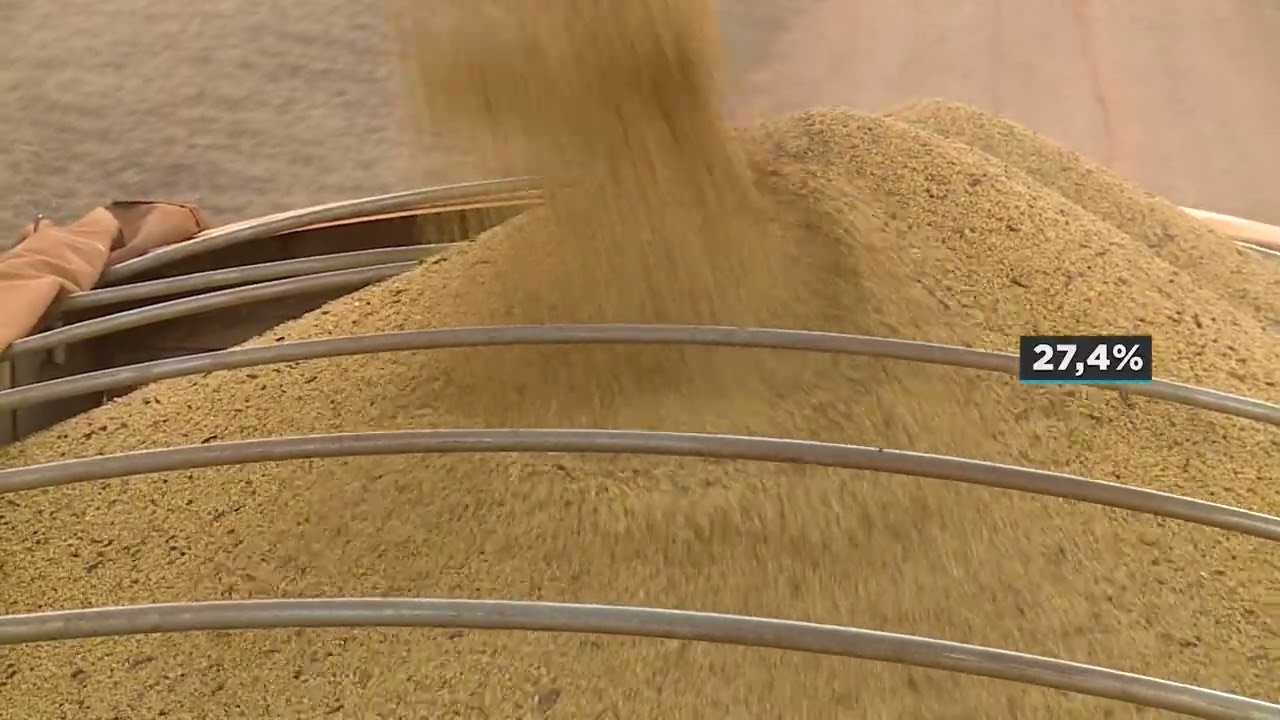 Recorde: importações acumuladas de trigo em 2025 já são as maiores desde 2007