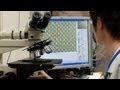 明るさ約2倍のカラー撮影を実現するカラーフィルターレスイメージセンサ #DigInfo - YouTube
