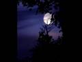 Mother Earth- Luna's Sky
