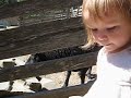 BAAAAAA!