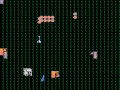 how do roms even get glitches like this?