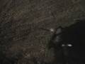 videos de FG 024