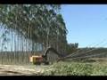 Tigercar Southern Hemisphere Hervesting Systems Part 1 HiRes