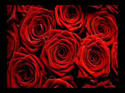 Russian Popular Music (oldies): Alla Pugacheva -