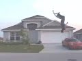 Jumping saltador