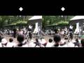 ヒネモス 2008.5.17.井の頭自然文化園 平行法立体視 part1