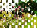 パソべるの生徒さん：長崎さんの南知多：ドラゴンズ編