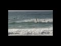 YouTube - MVB Training Day 1