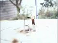 matchstick rockets