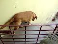 Tango...